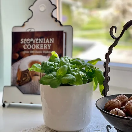 Vakantiehuis Homestead At Stefka's Mokronog