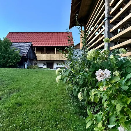 Homestead At Stefka's