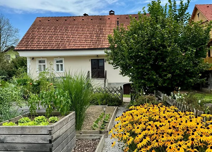 Homestead At Stefka's *